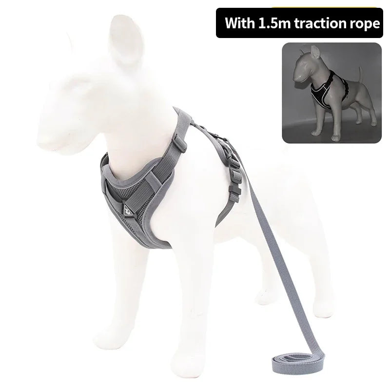 Set Harnais + Laisse pour Petit Chien - Harnais en H rembourré ultra confort – Anti-traction et respirant