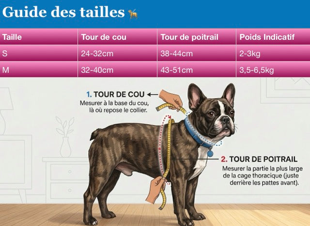 Harnais Petit Chien Anti-Traction Respirant avec Laisse - Gilet Ajustable Motif Carotte pour Bichon, Caniche, Yorkshire, Maltais