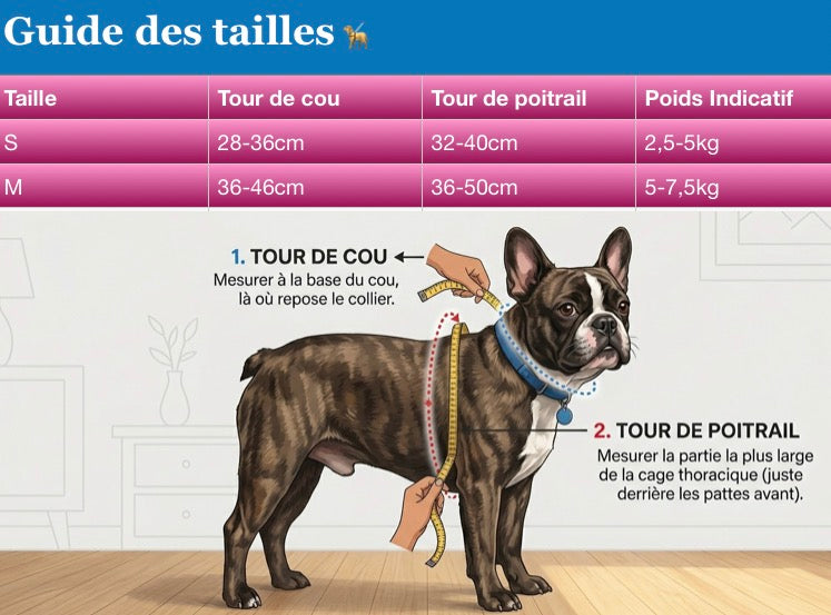 Harnais Chien Confort Poitrail Réglable – Pour Chiot, Petit et Moyen Chien