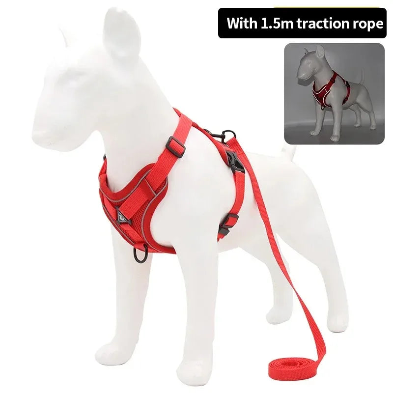 Set Harnais + Laisse pour Petit Chien - Harnais en H rembourré ultra confort – Anti-traction et respirant