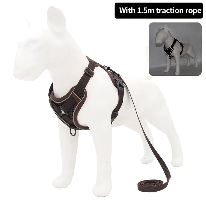 Set Harnais + Laisse pour Petit Chien - Harnais en H rembourré ultra confort – Anti-traction et respirant
