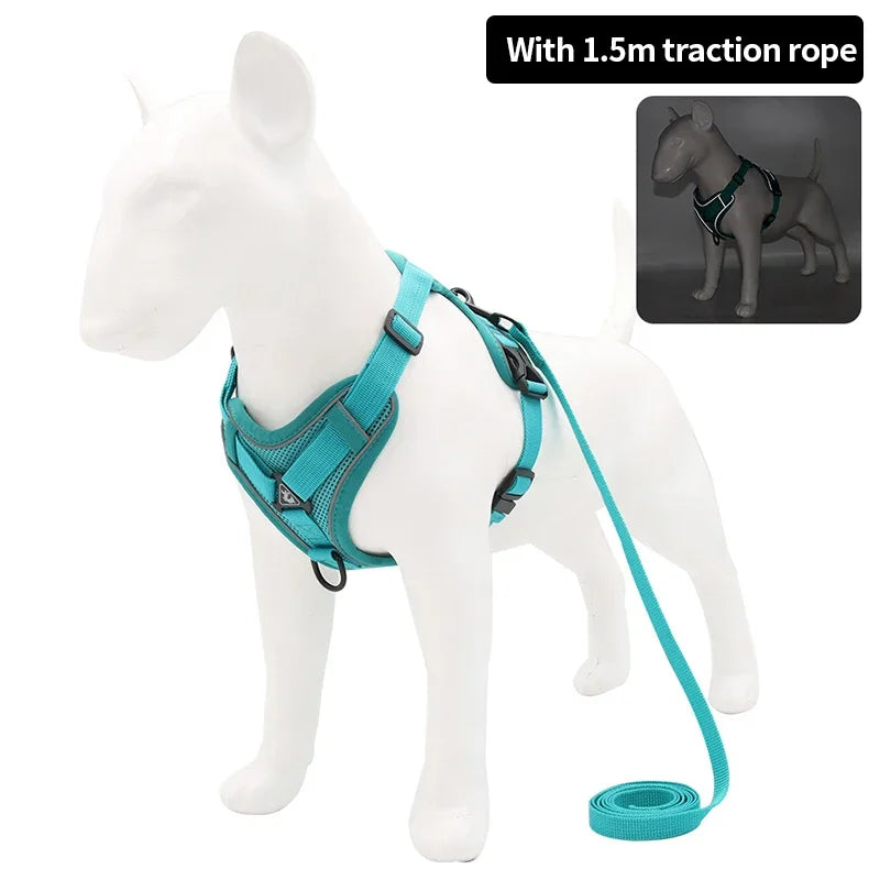 Set Harnais + Laisse pour Petit Chien - Harnais en H rembourré ultra confort – Anti-traction et respirant