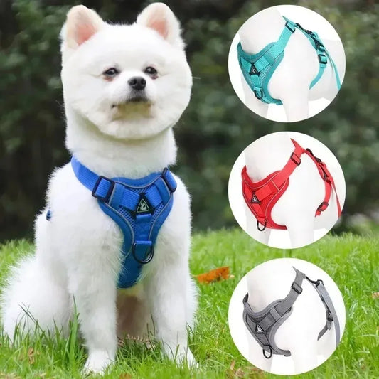 Set Harnais + Laisse pour Petit Chien - Harnais en H rembourré ultra confort – Anti-traction et respirant