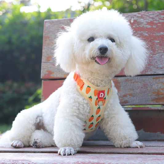 Harnais Petit Chien Anti-Traction Respirant avec Laisse - Gilet Ajustable Motif Carotte pour Bichon, Caniche, Yorkshire, Maltais
