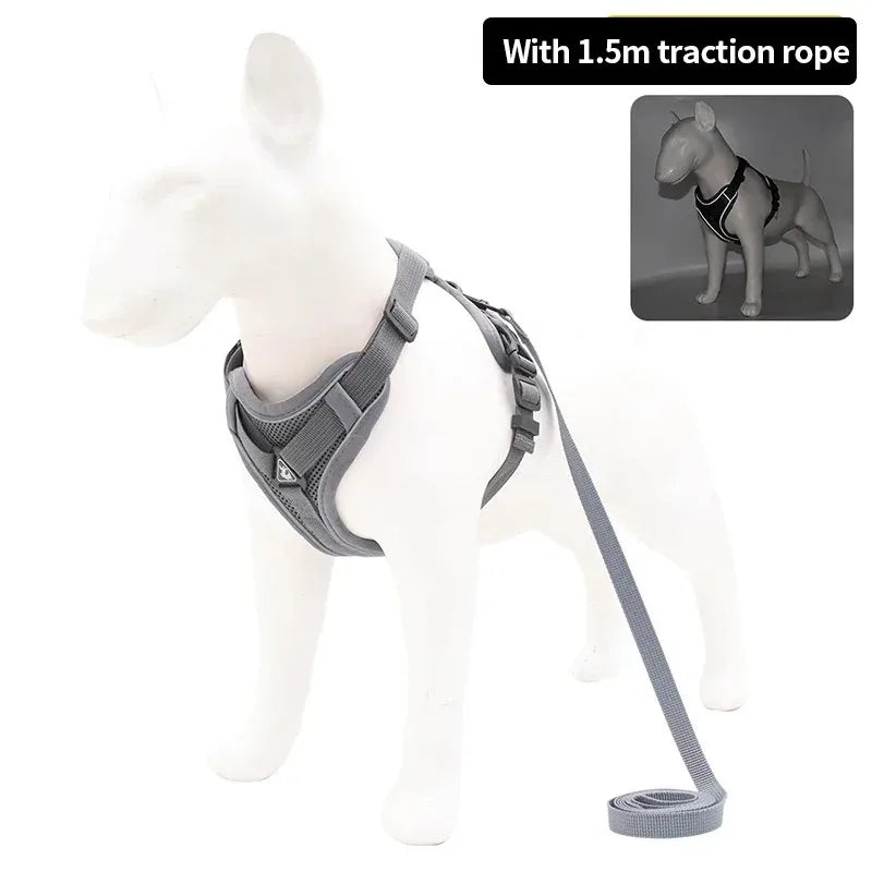 Set Harnais + Laisse pour Petit Chien - Harnais en H rembourré ultra confort – Anti-traction et respirant